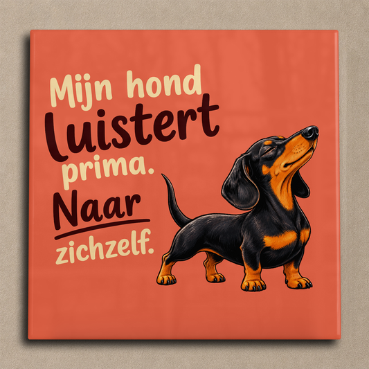 Mijn hond luistert prima teckel