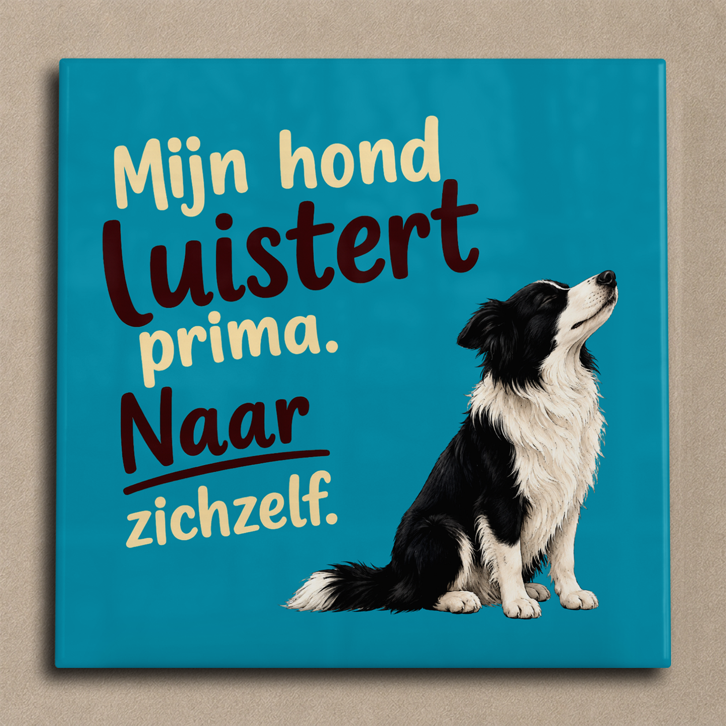 Mijn hond luistert prima border collie