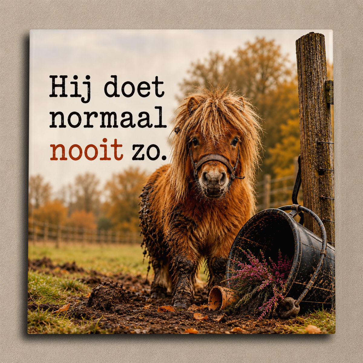 Hij doet normaal nooit zo. tegel