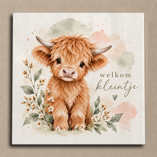 Welkom kleintje tegel